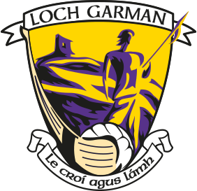 Wexford GAA