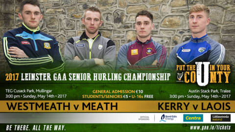 Decisive Games For Four Counties In Leinster SHC This Sunday