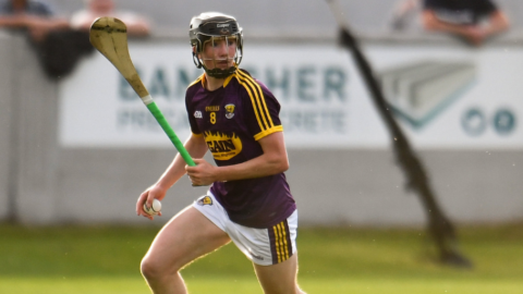 Bord Gais Energy Leinster U-20 Hurling Final