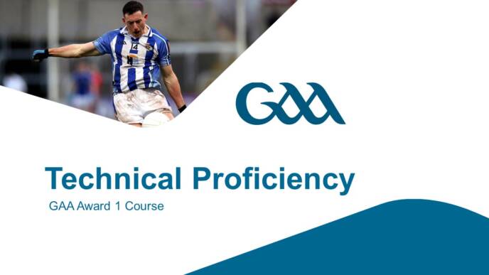 Leinster GAA