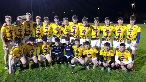 Wexford Win Out Against Louth