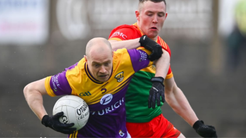 Wexford Romp Home Over Carlow