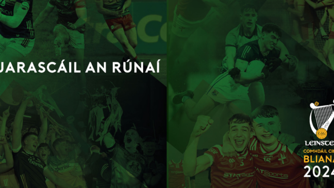 Tuarascáil an Runaí – Comhairle Laighean 2024